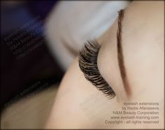 Volume Lashes